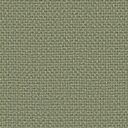 RAJA III - 657 | Drapery fabrics | Création Baumann