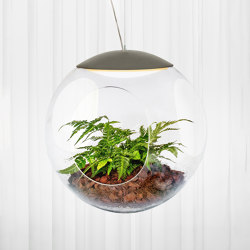 Babylone clear | Suspended lights | Greenworks