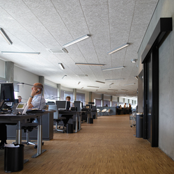 Troldtekt | Applications | Max Bank | Acoustic ceiling systems | Troldtekt