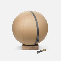 MESNA™ Fitness Ball 65 cm | Fitness tools | Pent Fitness